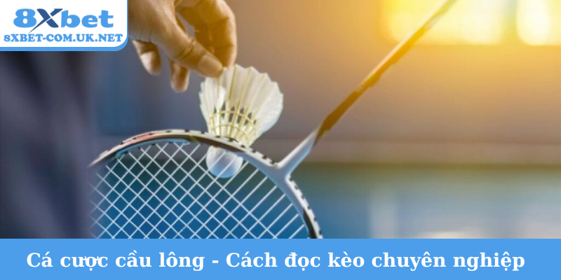 Cá cược cầu lông