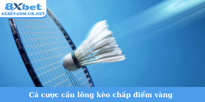 Cá cược cầu lông kèo chấp điểm vàng