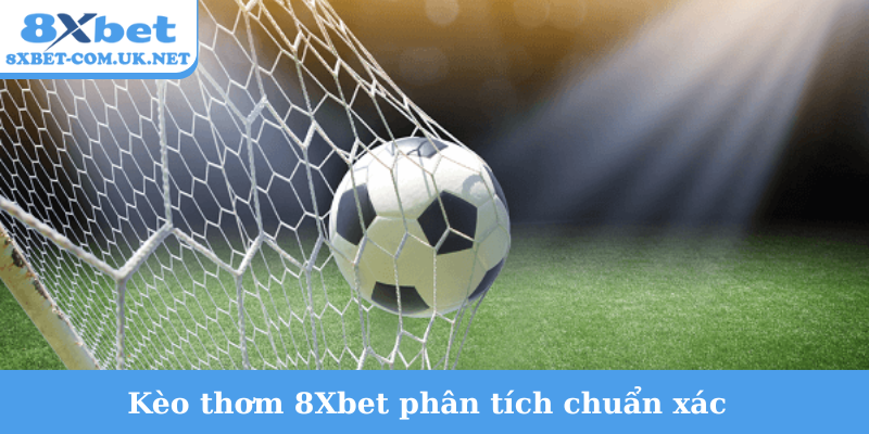 Kèo thơm 8Xbet phân tích chuẩn xác